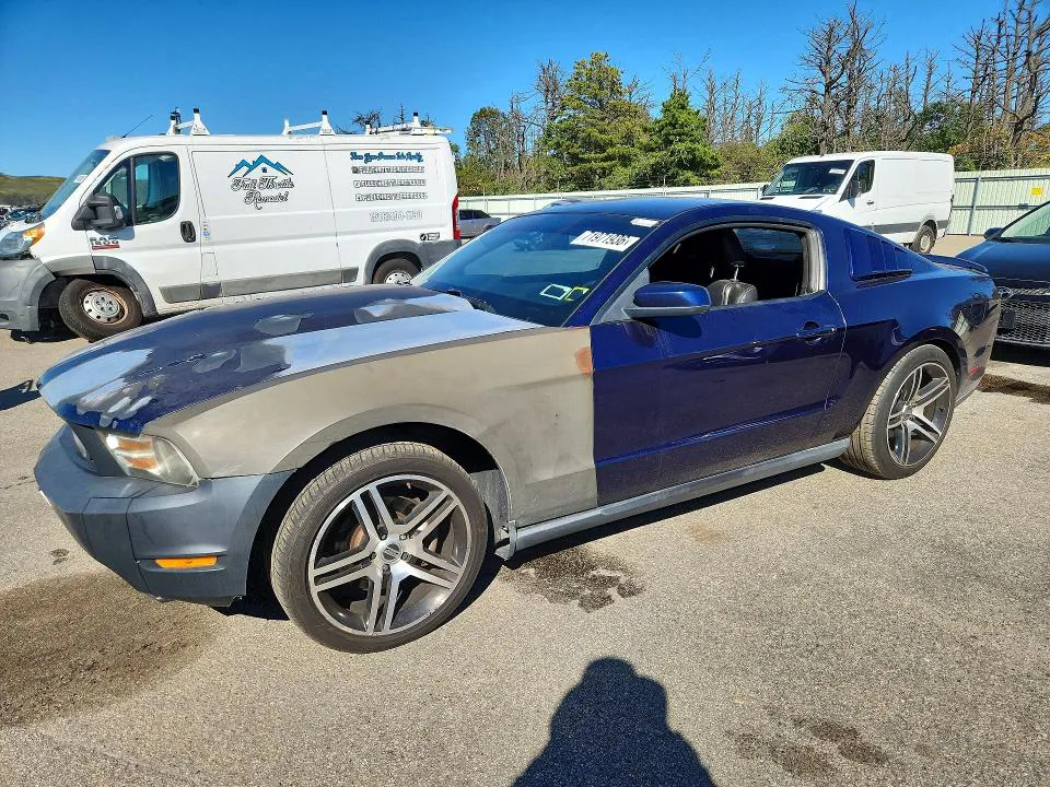 2010 FORD MUSTANG VIN 1ZVBP8CH0A5153516 фото 1