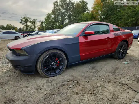 1ZVBP8AN1A5123224 — 2010 Ford Mustang, Механические повреждения, фото до ремонта