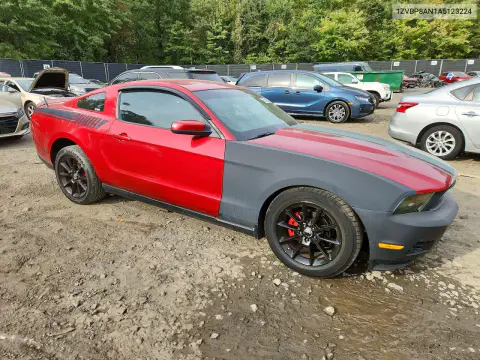 2010 Ford Mustang VIN 1ZVBP8AN1A5123224 фото 4