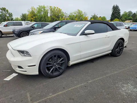 1ZVBP8EM1D5224656 — 2013 Ford Mustang, Задняя часть (Rear End), фото до ремонта