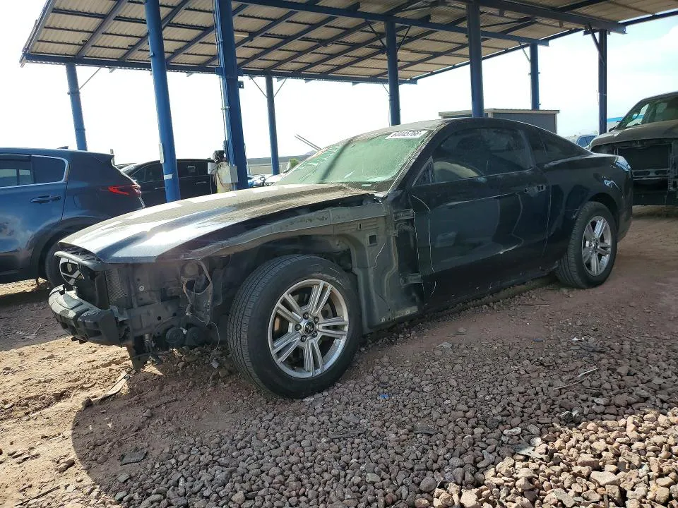 2014 Ford Mustang VIN 1ZVBP8AM3E5321820 фото 1