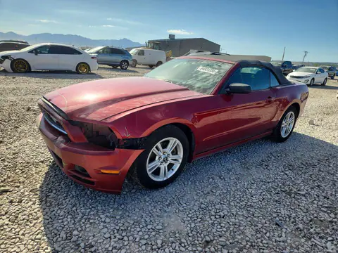 1ZVBP8EM6E5211077 — 2014 Ford Mustang, Передняя часть (Front End), фото до ремонта