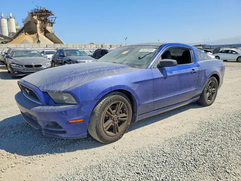 1ZVBP8AM0E5262872 — 2014 Ford Mustang, Вандализм (Vandalism), фото до ремонта