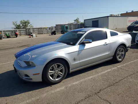 1ZVBP8AM9E5204923 — 2014 Ford Mustang, Задняя часть (Rear End), фото до ремонта