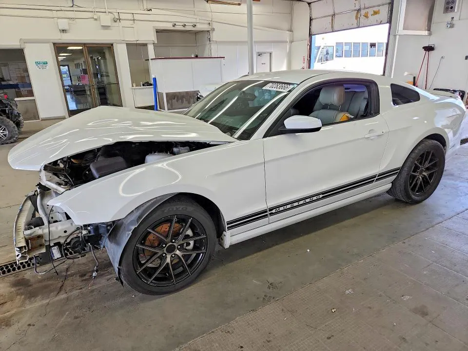 2014 Ford Mustang VIN 1ZVBP8AM0E5292695 фото 1
