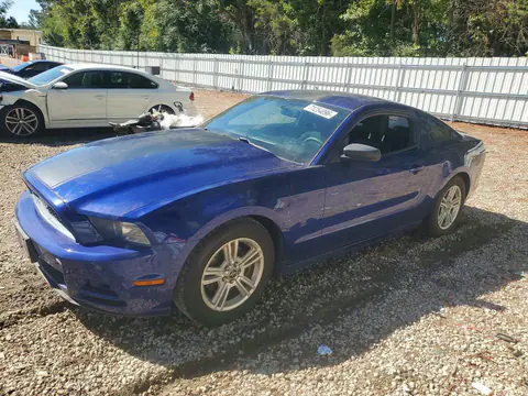 1ZVBP8AM7E5273920 — 2014 Ford Mustang, Механические повреждения (Mechanical), фото до ремонта