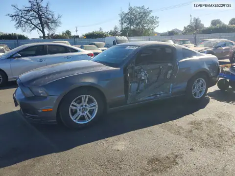 1ZVBP8AMXE5229135 — 2014 Ford Mustang, Боковая часть, фото до ремонта