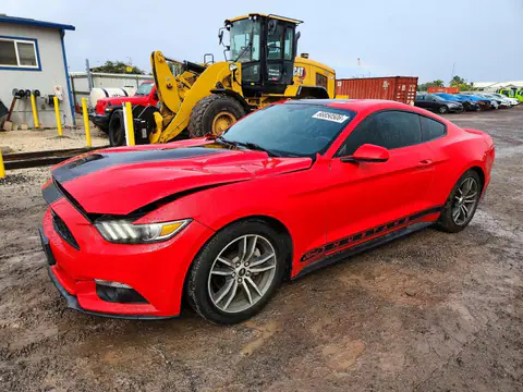 1FA6P8TH8F5312347 — 2015 Ford Mustang, Крыша (Top/Roof), фото до ремонта