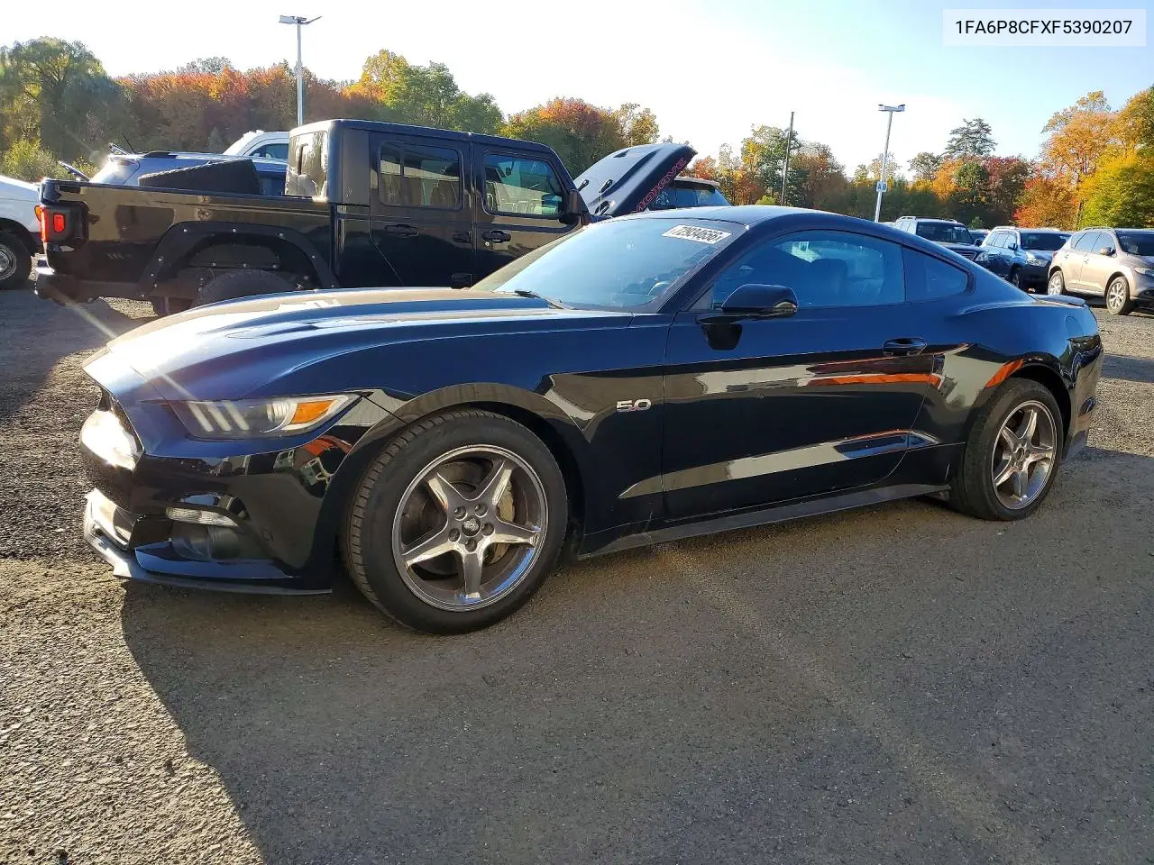1FA6P8CFXF5390207 Ford Mustang 2015 — повреждение Мелкие вмятины и царапины, фото до ремонта