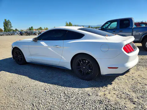 1FA6P8TH6G5227234 — 2016 Ford Mustang, фото 2 с аукциона Copart 13.10.2026, Мелкие вмятины и царапины