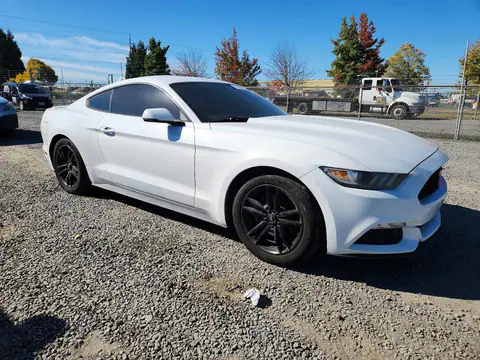 1FA6P8TH6G5227234 — 2016 Ford Mustang, фото 4 с аукциона Copart 13.10.2026, Мелкие вмятины и царапины