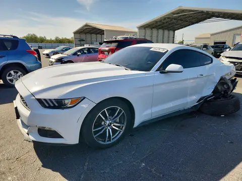 1FA6P8TH9H5217766 — 2017 Ford Mustang, Задняя часть (Rear End), фото до ремонта