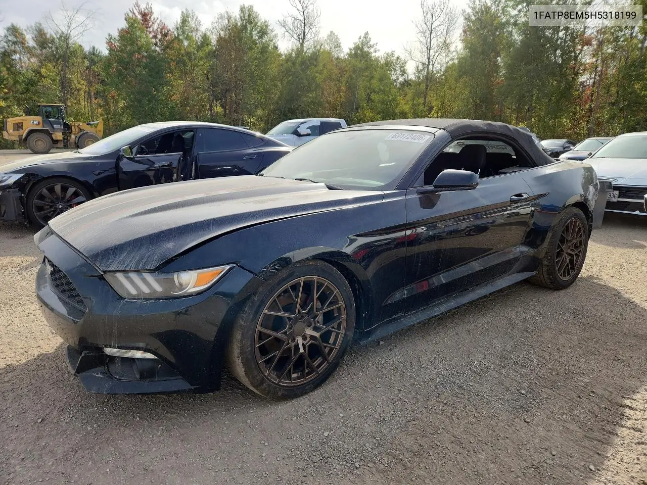 2017 Ford Mustang VIN 1FATP8EM5H5318199 фото 1