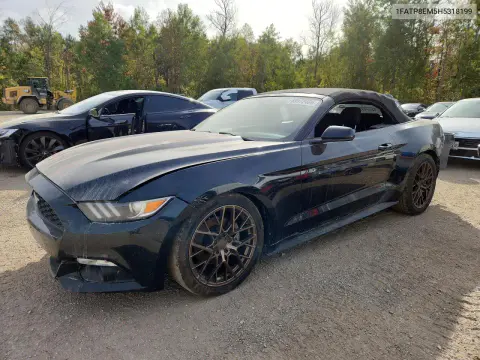 1FATP8EM5H5318199 — 2017 Ford Mustang, Задняя часть, фото до ремонта