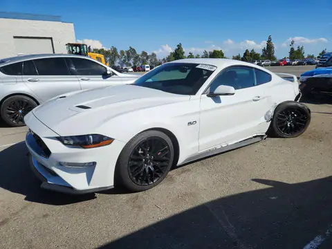 1FA6P8CF8J5146726 — 2018 Ford Mustang, Задняя часть (Rear End), фото до ремонта