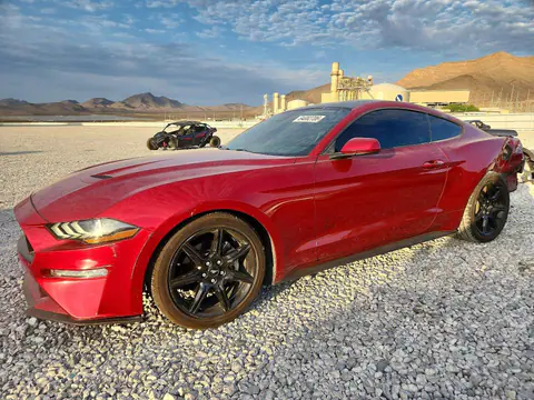 1FA6P8TH1K5187704 — 2019 Ford Mustang, Задняя часть (Rear End), фото до ремонта