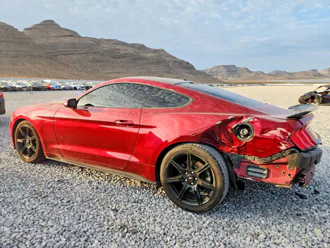 2019 Ford Mustang VIN 1FA6P8TH1K5187704 фото 2