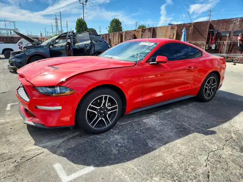 1FA6P8TH5K5169089 — 2019 Ford Mustang, Передняя часть (Front End), фото до ремонта