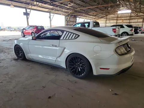 1FA6P8CF9K5120525 — 2019 Ford Mustang, фото 2 с аукциона Copart 30.09.2026, Боковая часть