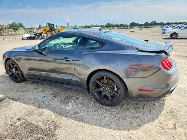 1FA6P8TH9K5131915 — 2019 Ford Mustang, фото 2 с аукциона Copart 01.10.2026, Задняя часть