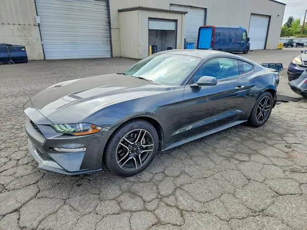 1FA6P8TH7L5173534 — 2020 Ford Mustang, Задняя часть (Rear End), фото до ремонта