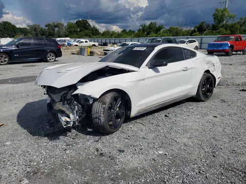 1FA6P8TH9M5147681 — 2021 Ford Mustang, Передняя часть (Front End), фото до ремонта
