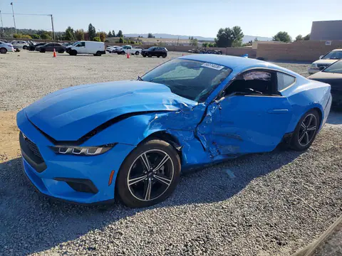 1FA6P8TH5R5137219 — 2024 Ford Mustang, Боковая часть (Side), фото до ремонта