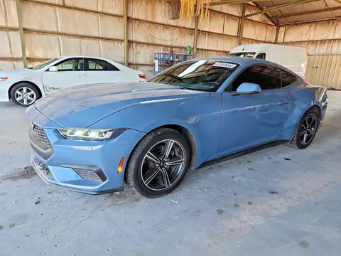 1FA6P8TH4R5100890 — 2024 Ford Mustang, Боковая часть (Side), фото до ремонта