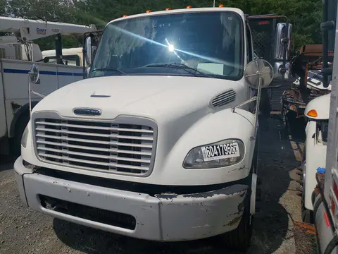 3ALACXDT2GDGV6363 — 2016 Freightliner M2, Мелкие вмятины и царапины (Minor Dent/Scratches), фото до ремонта
