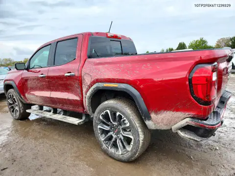 1GTP2FEK6T1239329 — 2026 GMC Canyon, фото 2 с аукциона Copart, Задняя часть
