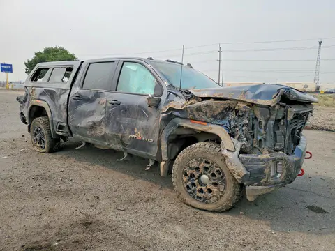 2020 GMC Sierra VIN 1GT49PE78LF290026 фото 4
