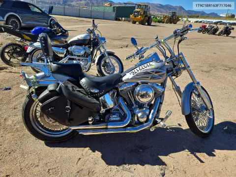 1T9C1BR163F717046 — 2003 Harley-Davidson Softail, Мелкие вмятины и царапины, фото до ремонта