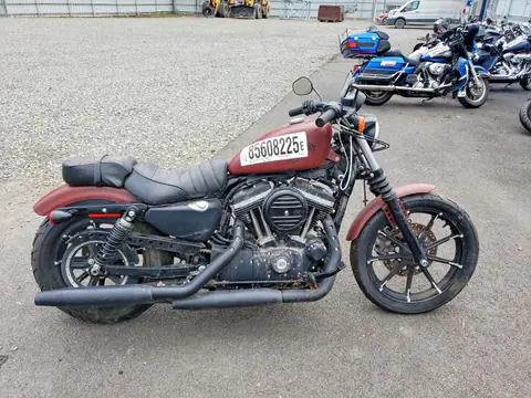 1HD4LE216HC446402 — 2017 Harley-Davidson XL883, Механические повреждения (Mechanical), фото до ремонта