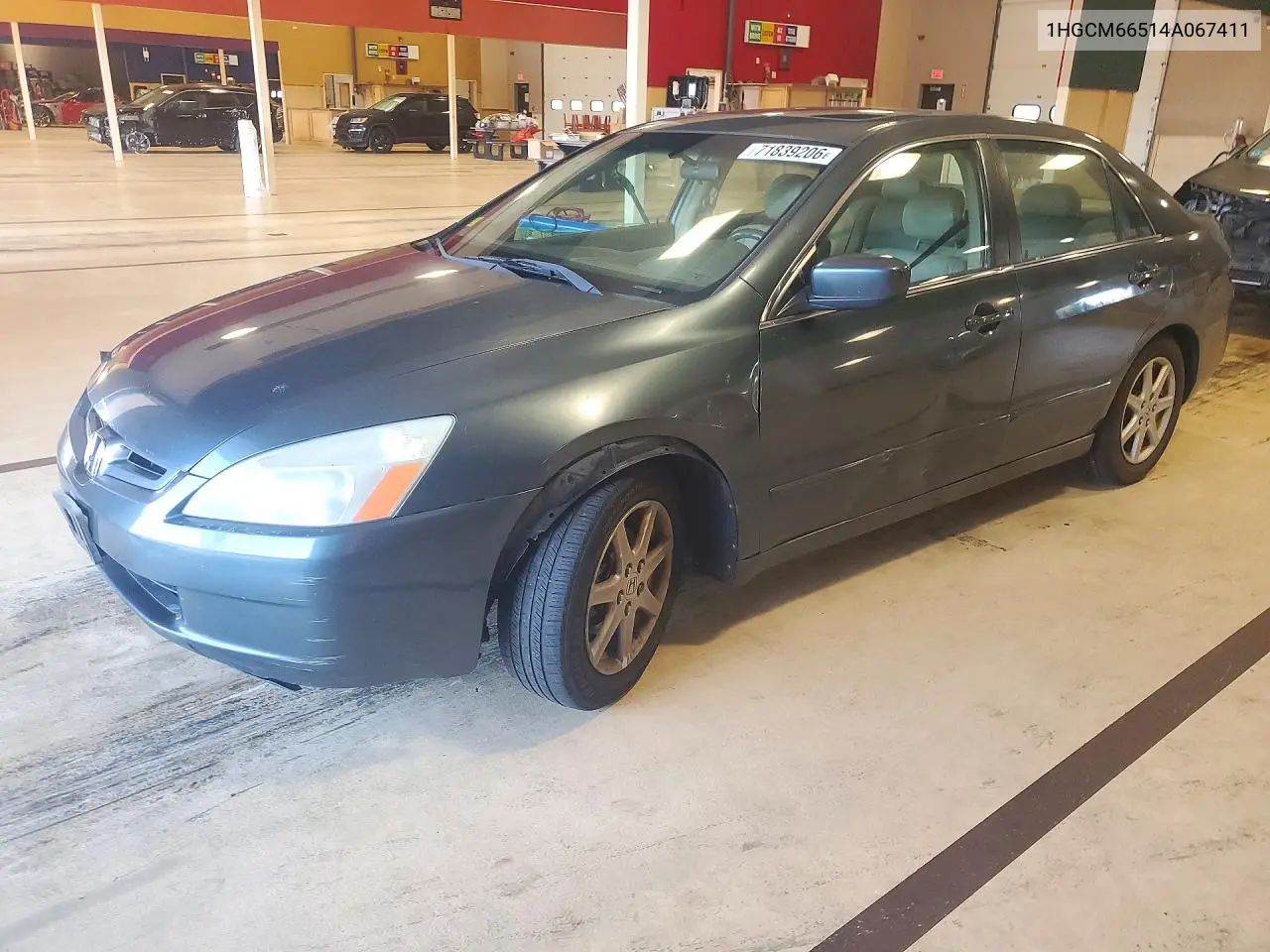 1HGCM66514A067411 Honda Accord 2004 — повреждение Передняя часть, фото до ремонта