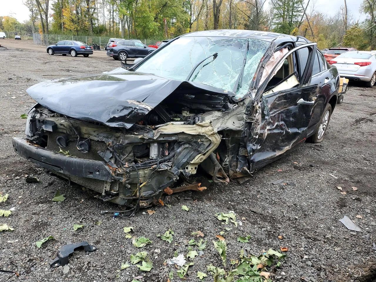 2008 Honda Accord Sedan Ex VIN 1HGCP26498A117467 фото 1