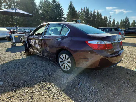 1HGCR2F80EA177565 — 2014 Honda Accord, фото 2 с аукциона Copart 13.10.2026, Боковая часть
