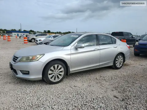 1HGCR3F80EA020835 — 2014 Honda Accord, Передняя часть, фото до ремонта