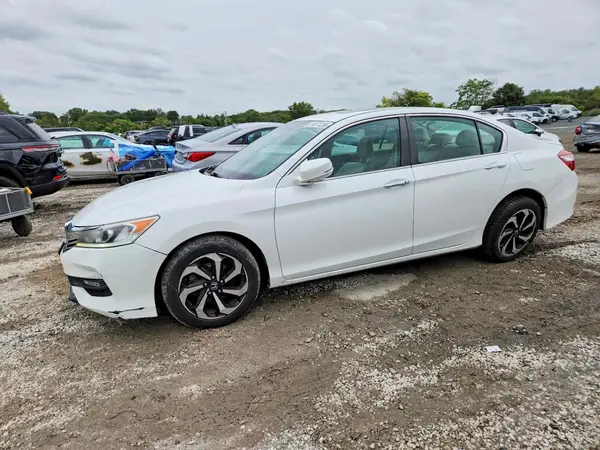 1HGCR2F72GA033901 — 2016 Honda Accord, Задняя часть (Rear End), фото до ремонта