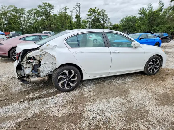 1HGCR2F72GA033901 — 2016 Honda Accord, фото 3 с аукциона Copart 06.10.2026, Задняя часть