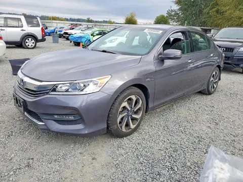 1HGCR3F82GA023948 — 2016 Honda Accord, Задняя часть (Rear End), фото до ремонта