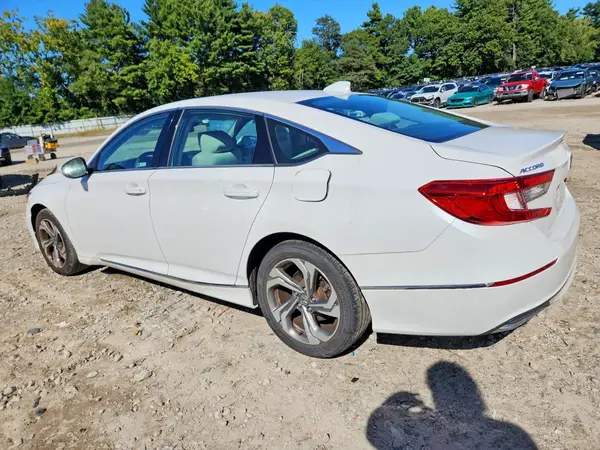 1HGCV1F42KA105927 — 2019 Honda Accord, фото 2 с аукциона Copart, Задняя часть