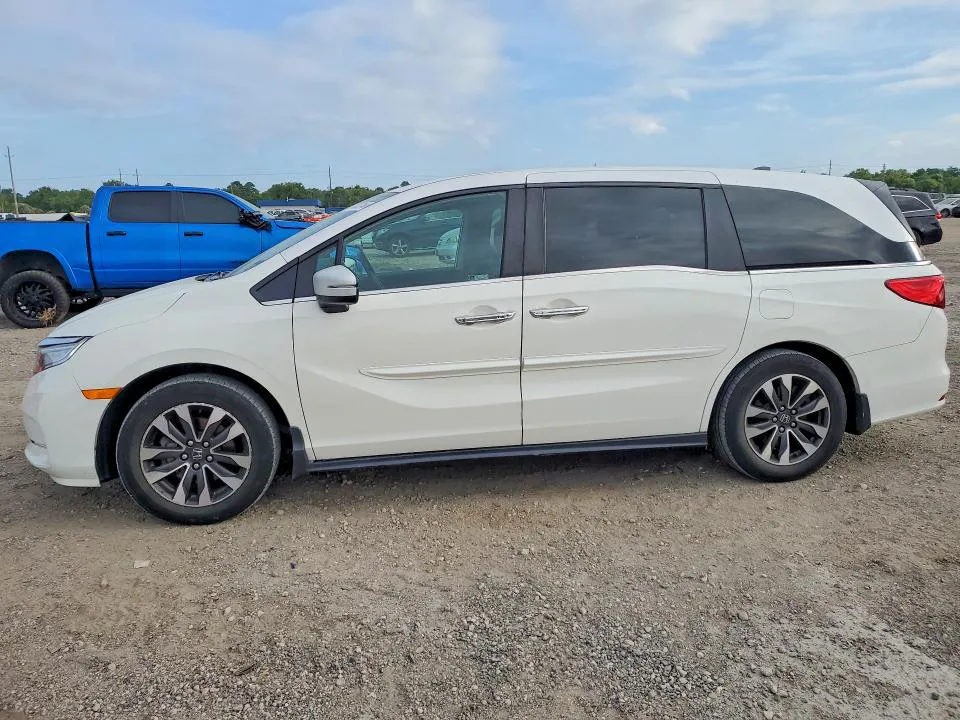 2024 HONDA ODYSSEY VIN 5FNRL6H6XRB007868 фото 1