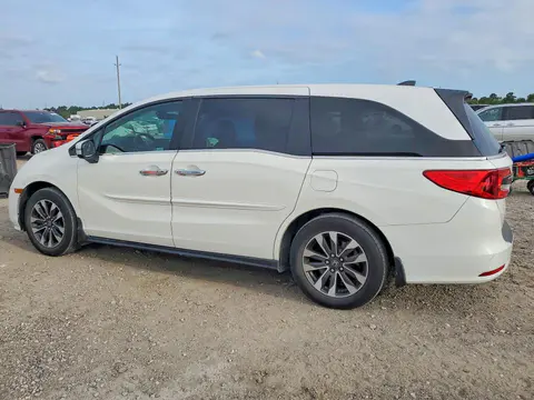 2024 HONDA ODYSSEY VIN 5FNRL6H6XRB007868 фото 2