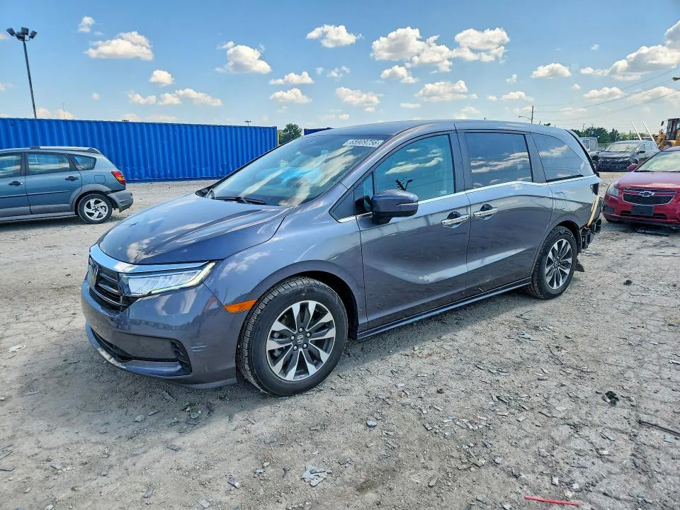 2024 HONDA ODYSSEY VIN 5FNRL6H62RB062590 фото 1