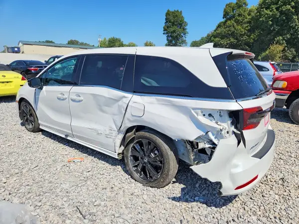 5FNRL6H71RB067823 — 2024 Honda Odyssey, фото 2 с аукциона Copart, Задняя часть