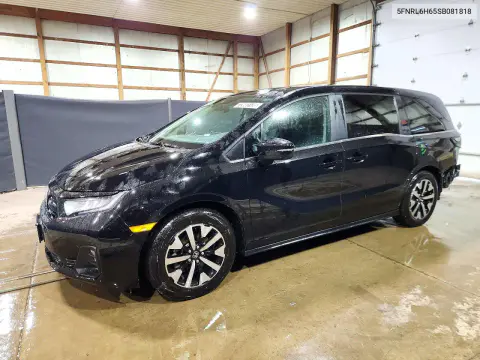 5FNRL6H65SB081818 — 2025 Honda Odyssey, Задняя часть, фото до ремонта