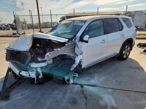 5FNYG2H44RB013009 — 2024 Honda Pilot, Передняя часть (Front End), фото до ремонта