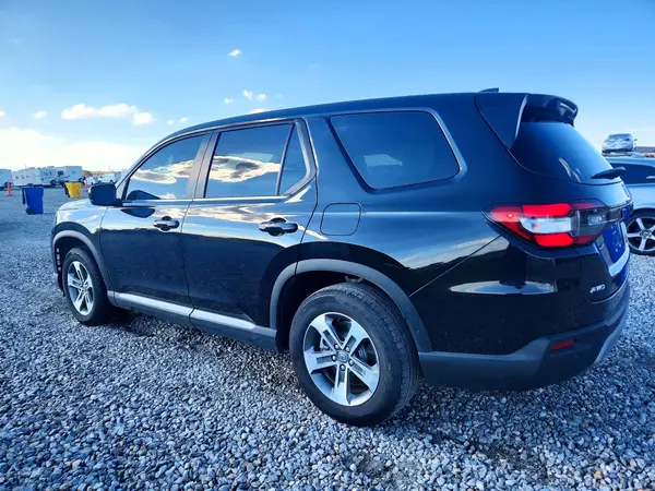 5FNYG1H42SB106711 — 2025 Honda Pilot, фото 2 с аукциона Copart, Боковая часть