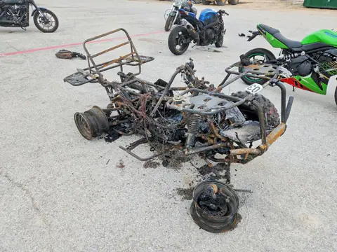 2025 HONDA TRX420 VIN 1HFTE4724SJ101896 фото 1