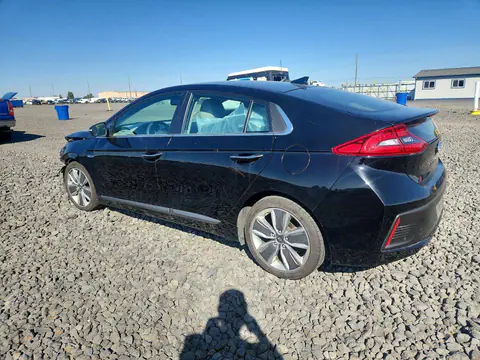 2019 Hyundai Ioniq VIN KMHC05LC4KU114901 фото 2